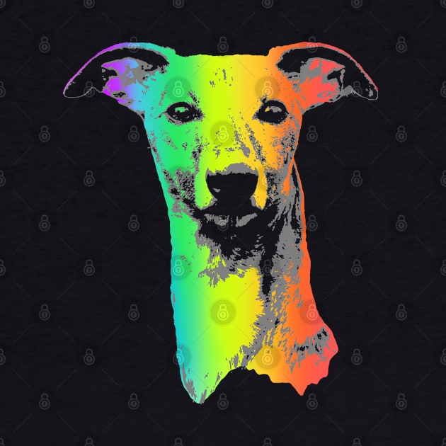 Rainbow Whippet by childofthecorn